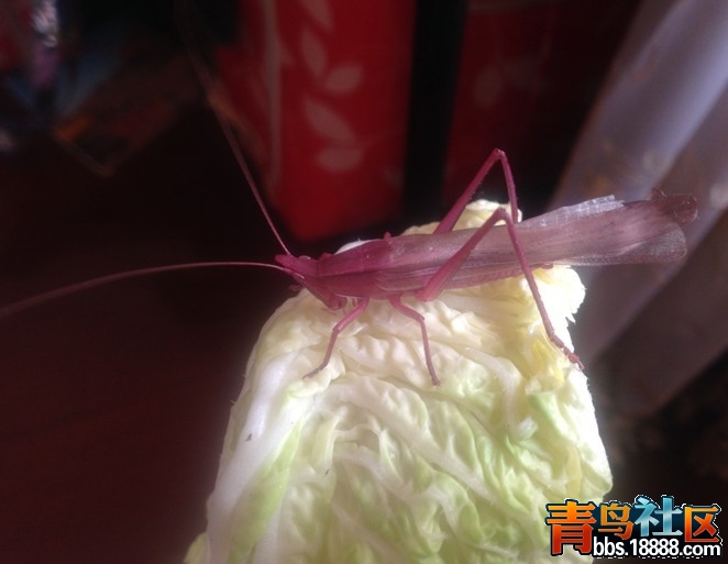 QQ图片20131108184256.jpg
