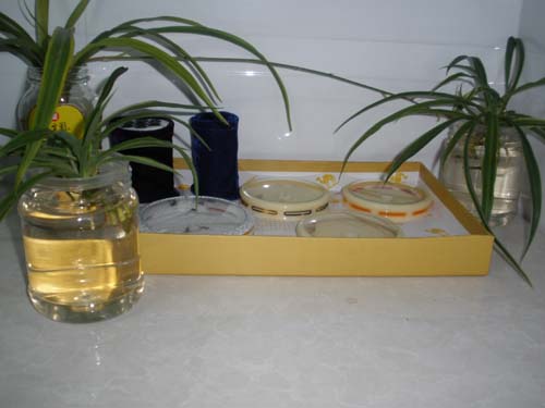PB160034.JPG