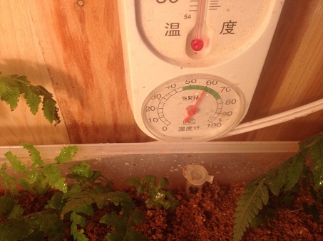 QQ图片20131117153709.jpg