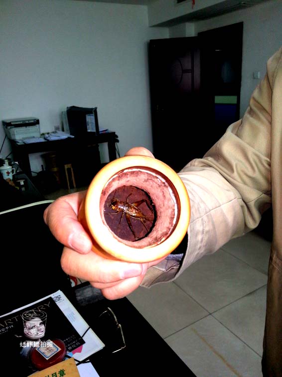 20131108_092826.jpg