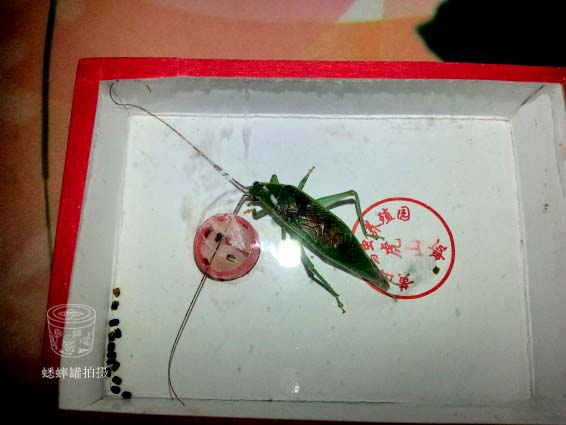 20131105_174923.jpg