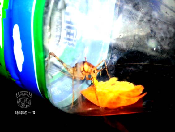 20131108_201507.jpg