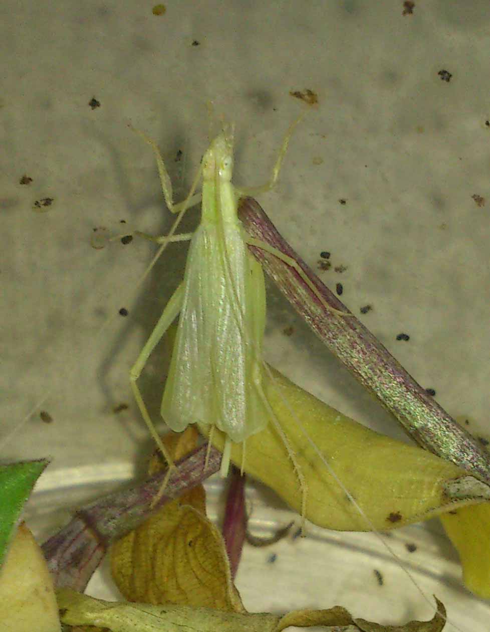 DSC_4361.jpg