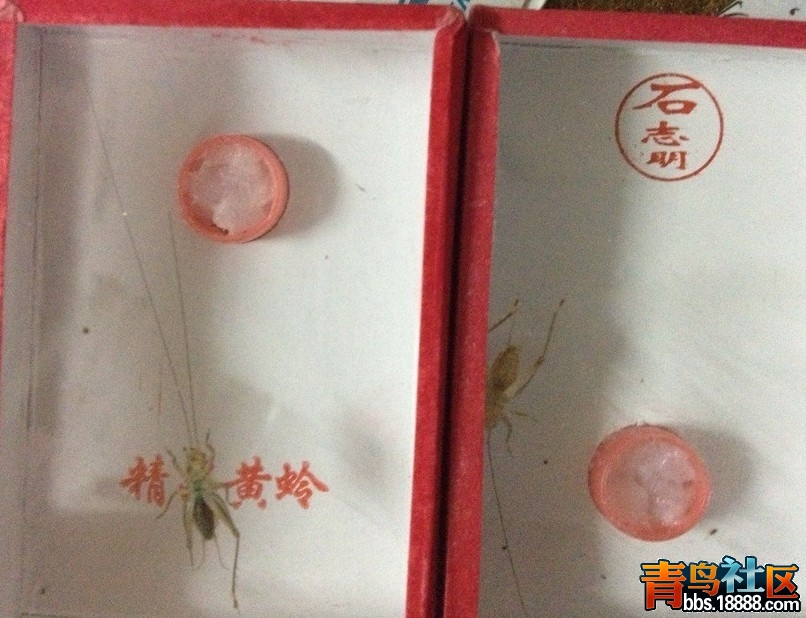 QQ图片20131123201631.jpg