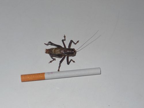 7.JPG