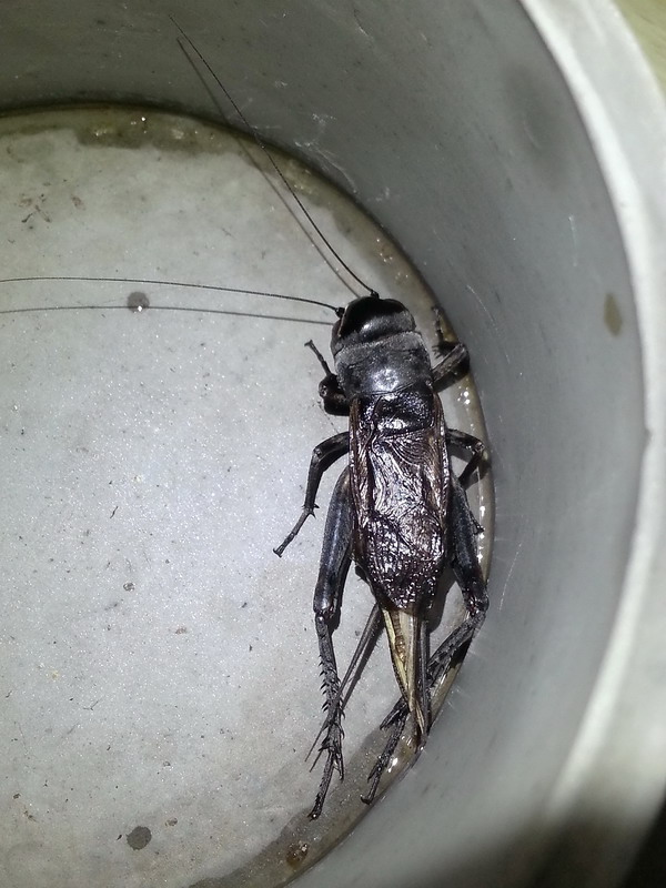 20131130_181745.jpg