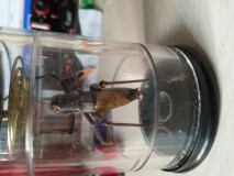 20131106_091821.jpg