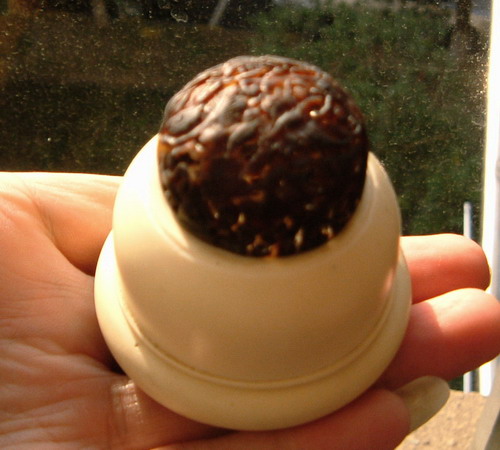 DSCF1302.JPG