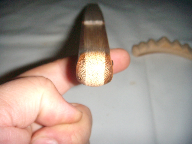 DSCN8202.JPG