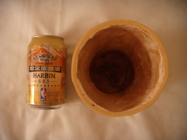 DSCN6374.JPG