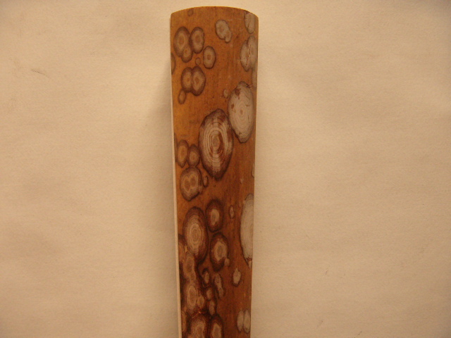 DSCN7603.JPG