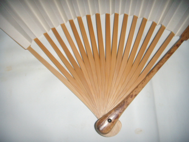 DSCN8205.JPG