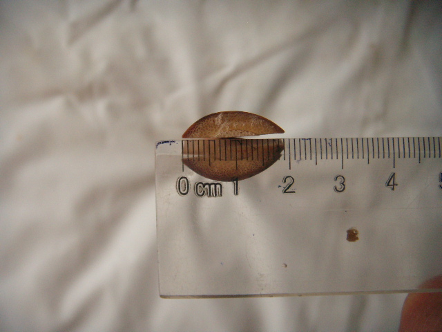 DSCN7675.JPG