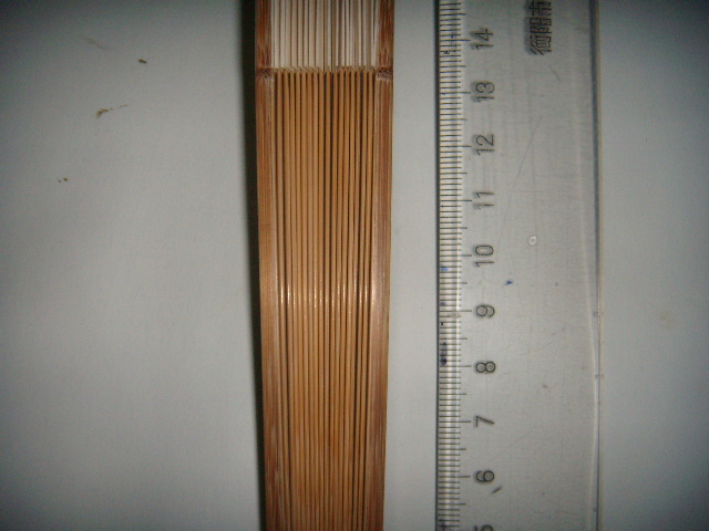 DSCN8181.JPG