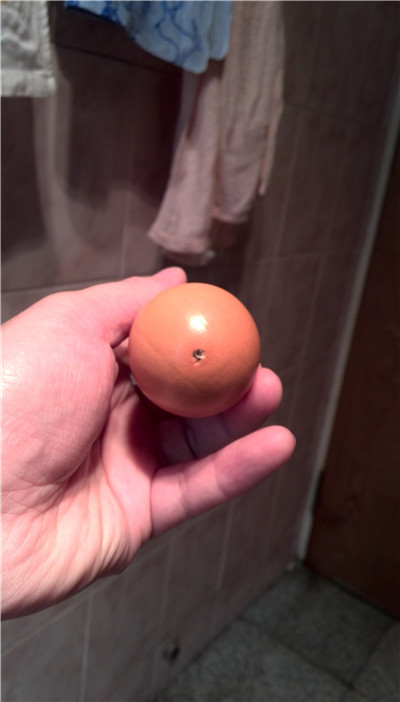 IMG_20131112_123956.jpg