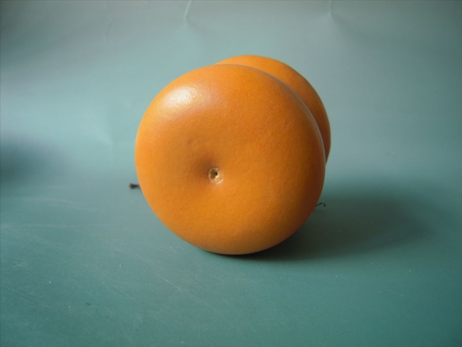 DSCN2930.JPG