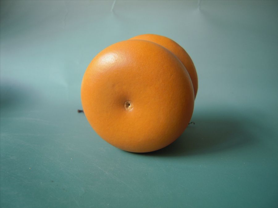 DSCN2931.JPG
