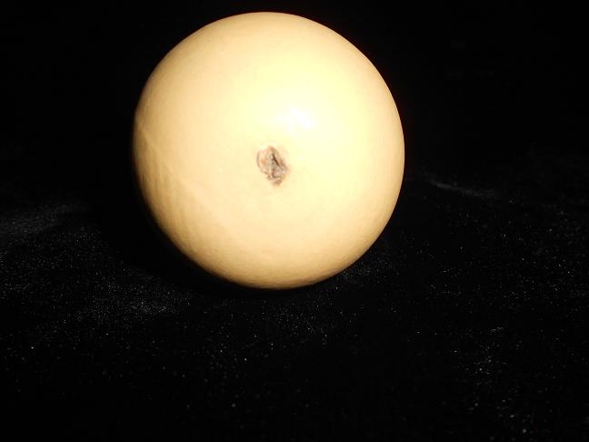 DSCN2675.JPG