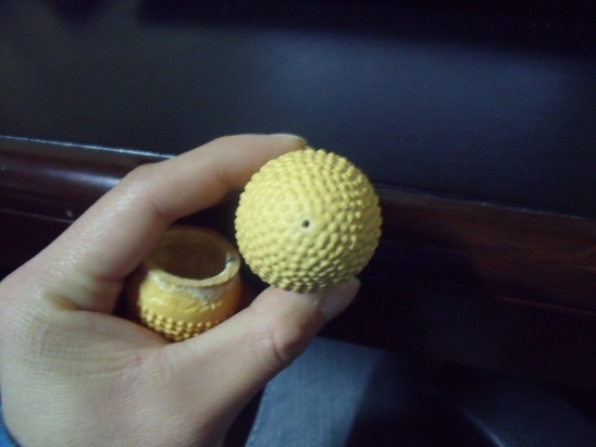 DSCF5837.JPG