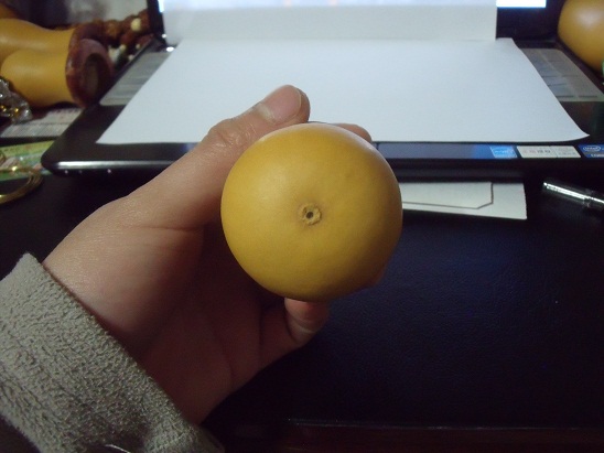 DSCF6057.JPG