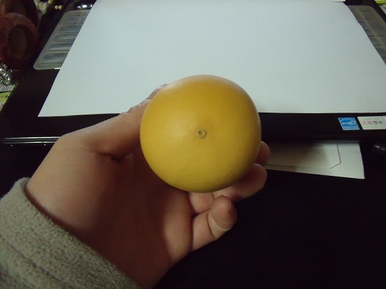 DSCF6044.JPG