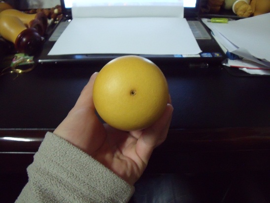 DSCF6009.JPG