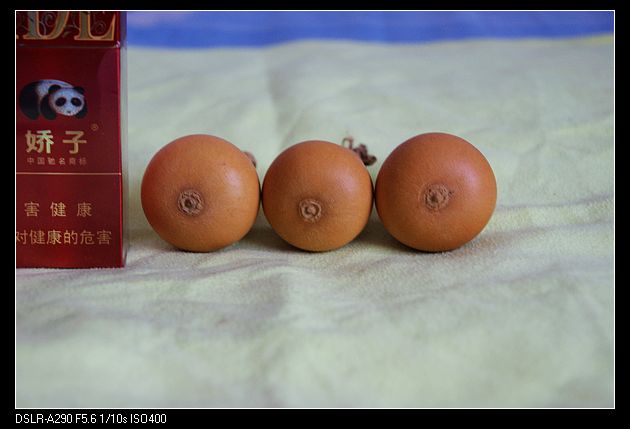 nEO_IMG_DSC00825.jpg