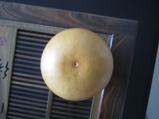 照片 010.jpg