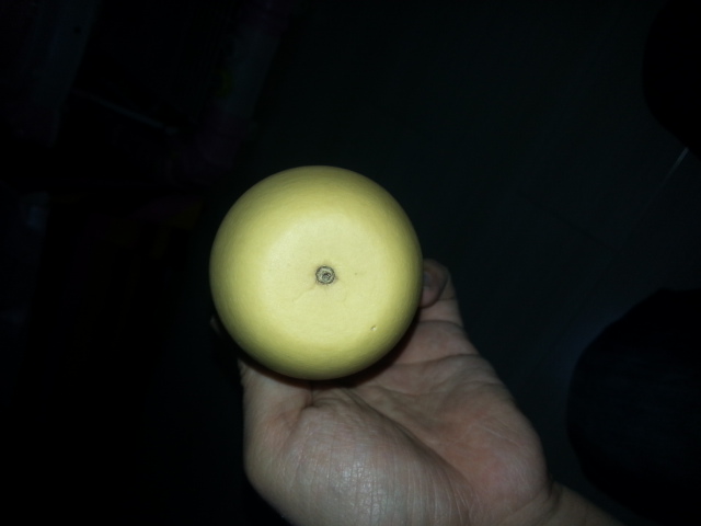 20131116_145903.jpg