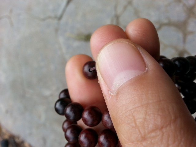 20131104_102229.jpg