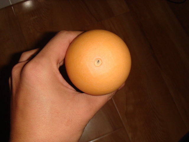DSC08152.JPG