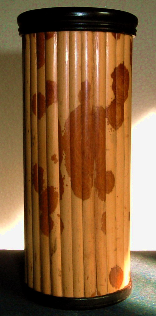 DSCF1353.JPG