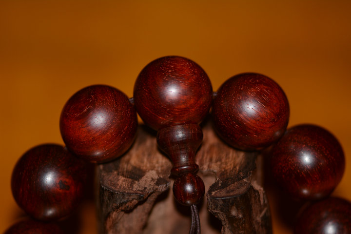 DSC_2249.JPG
