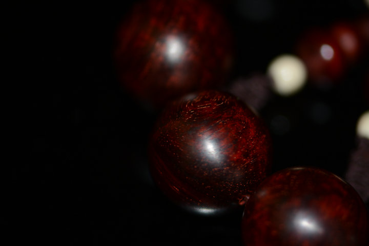 DSC_1788.JPG