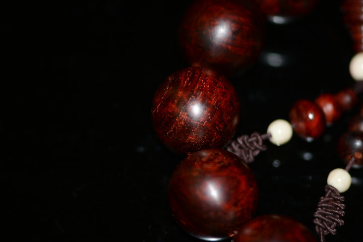 DSC_1776.JPG