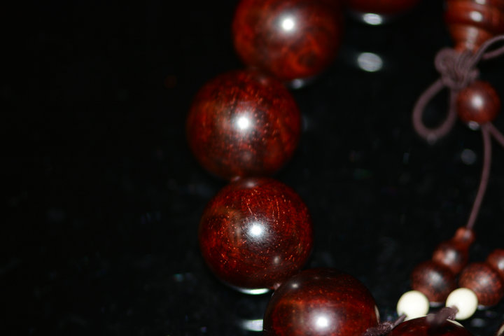 DSC_1826.JPG