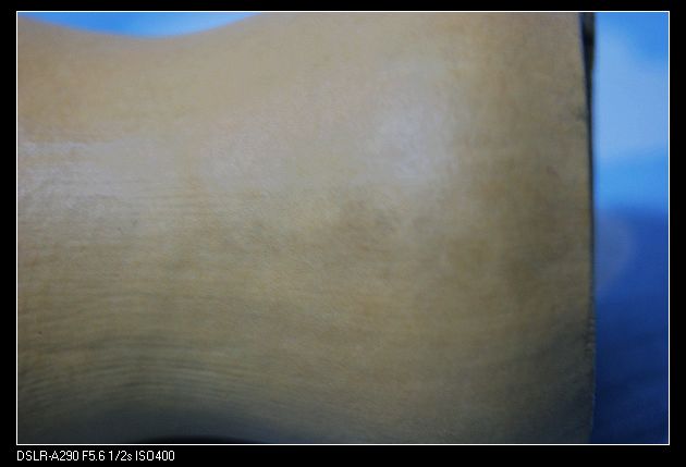 nEO_IMG_DSC01217.jpg
