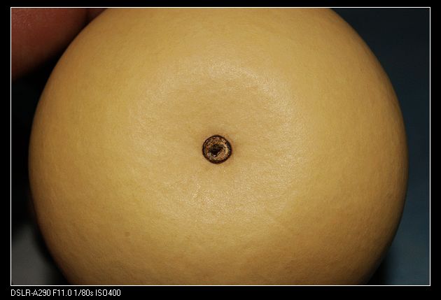 nEO_IMG_DSC01208.jpg