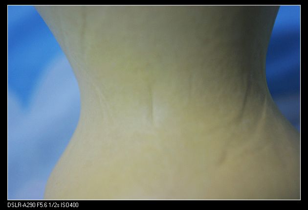 nEO_IMG_DSC01203.jpg