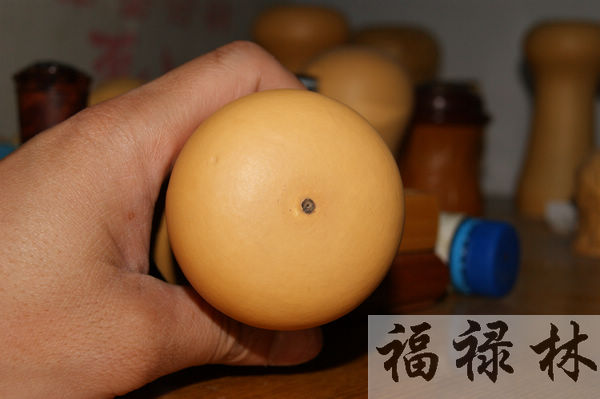 nEO_IMG_DSC00186.jpg