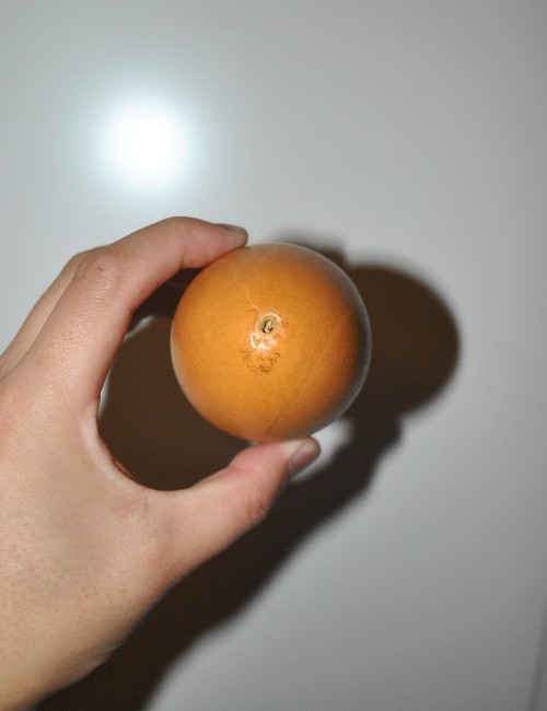 222.jpg