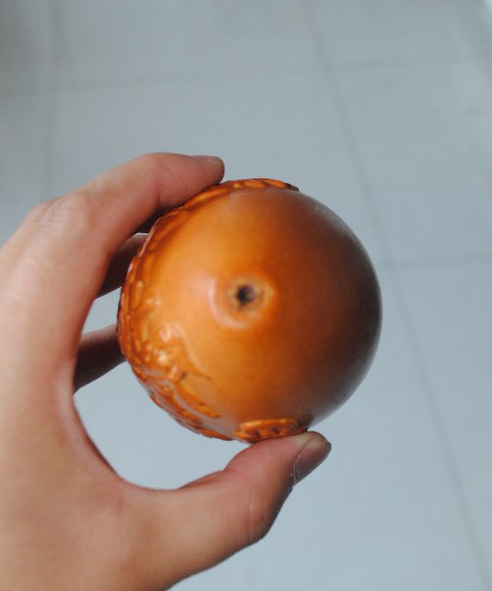 55.jpg