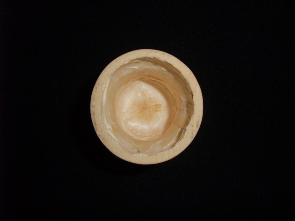 DSCF5672.jpg