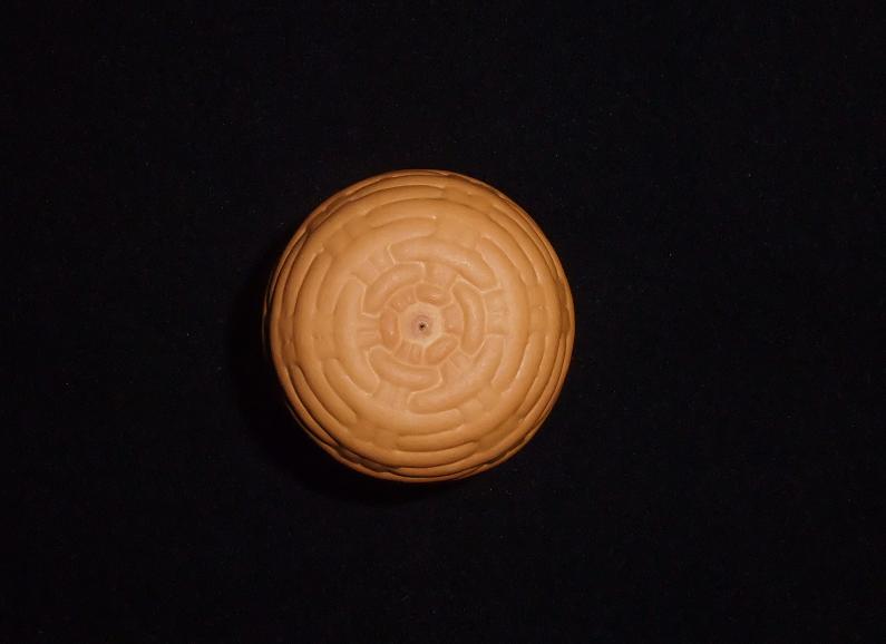 DSCF5670.jpg