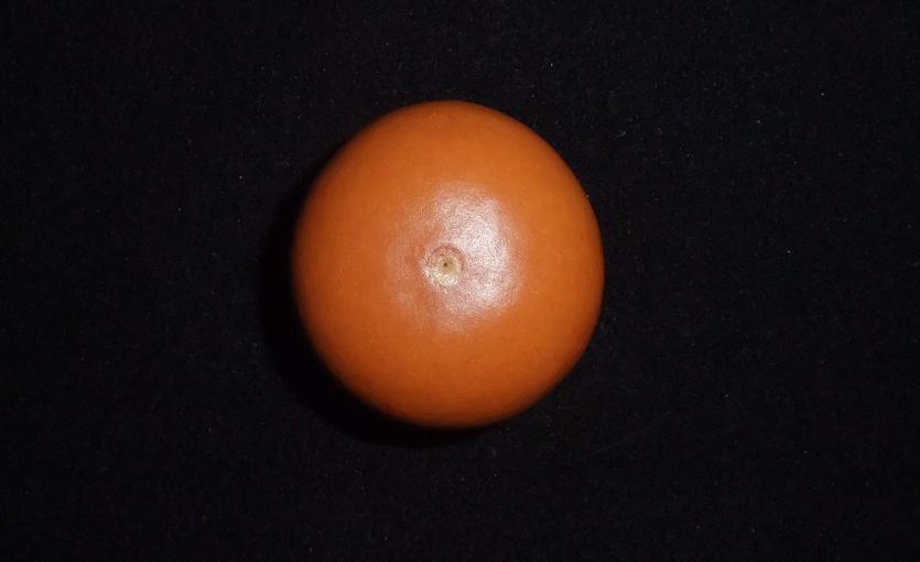 DSCF5630.jpg