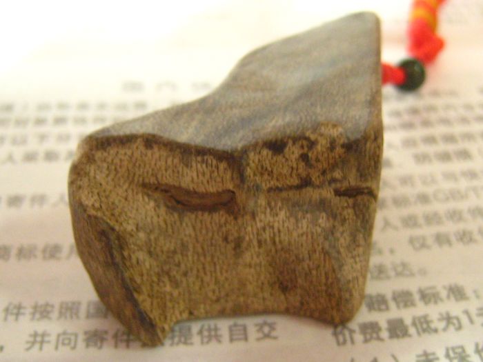 nEO_IMG_照片 155.jpg