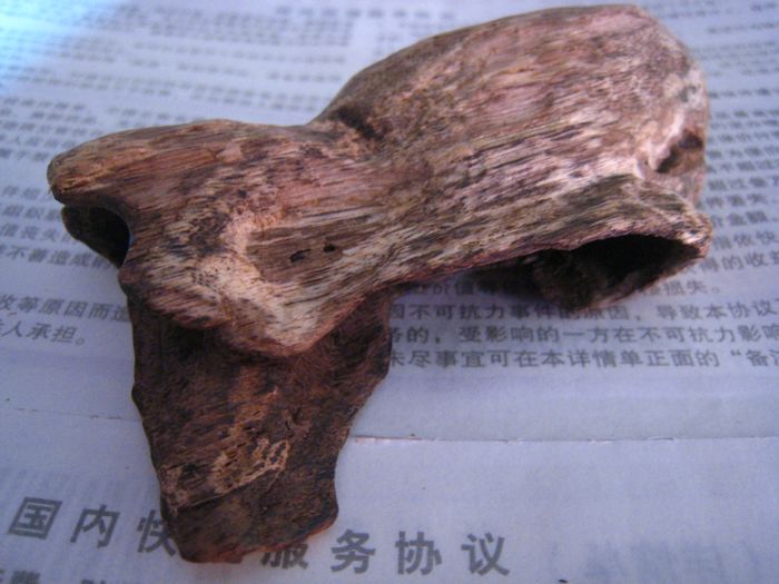 nEO_IMG_照片 579.jpg