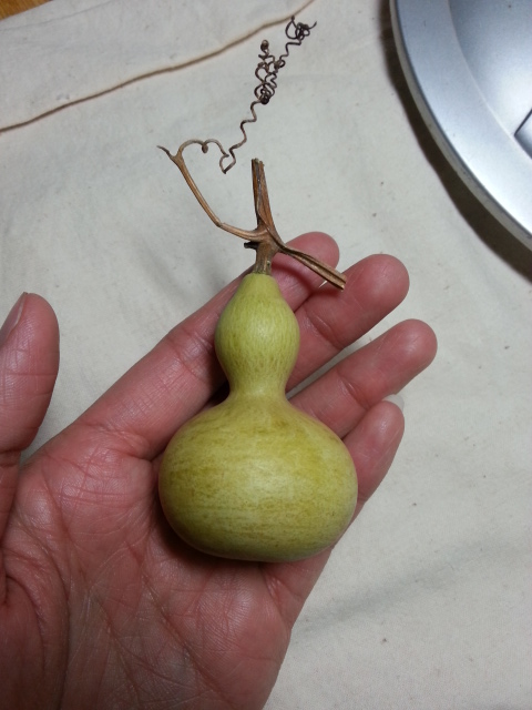 20131118_095958.jpg