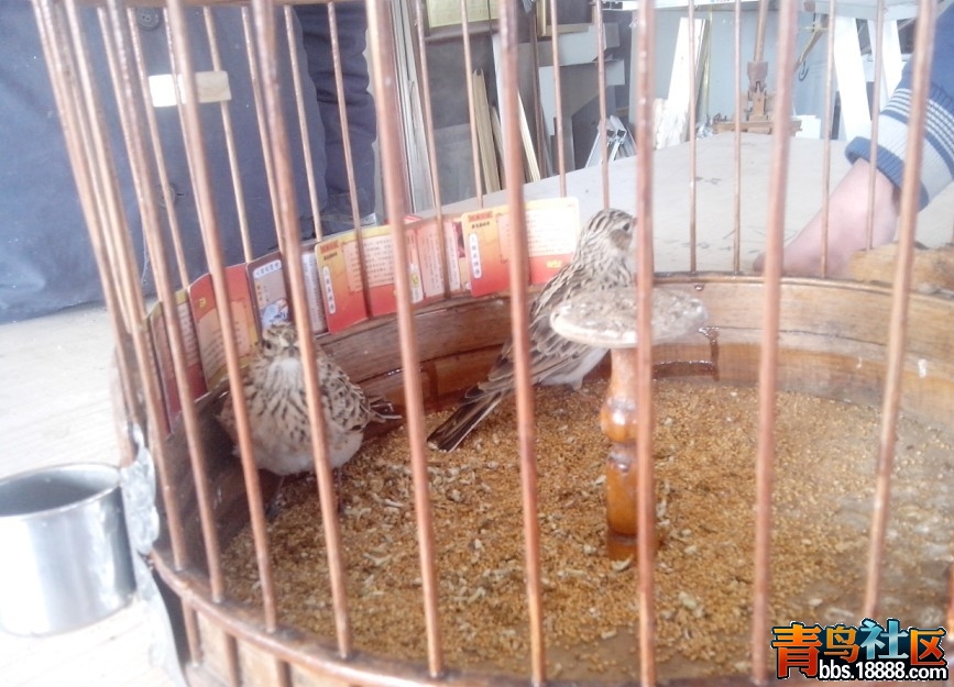 QQ图片20131127184927.jpg