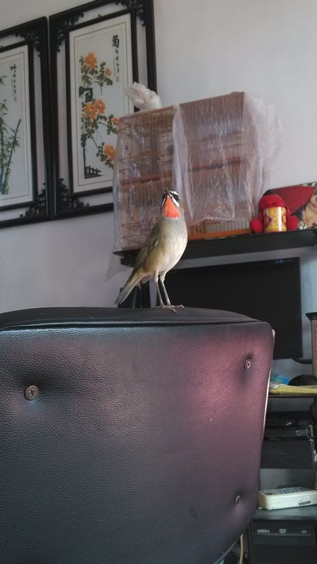 IMG_20131117_130758.jpg